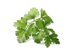 Parsley